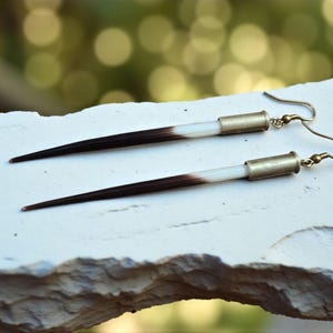 May include: A pair of handmade earrings featuring porcupine quills. The quills are dark brown and white, with gold-colored metal accents and ear wires. The earrings are displayed on a white surface against a blurred green background.