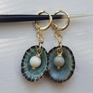 May include: A pair of handmade earrings featuring gold-colored hoops and wire. Each earring has a teal-colored shell with a white or gray bead. The shells have a dark brown edge.
