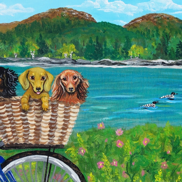 Dog Bike Basket Etsy