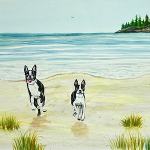 Boston Terrier Art, Boston Terrier Beach Print, Boston Terrier print, fun Boston Terriers, Boston Terrier beach, Boston Terrier lover gift