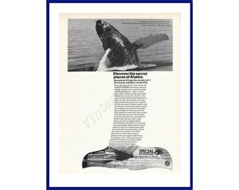 SPECIAL EXPEDITIONS / Lindblad Travel Original 1984 Vintage Print Advertisement "Discover The Secret Places Of Alaska" Humpback Whale