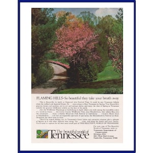 Tennessee Vacation Original 1971 Vintage Color Print Ad - "Flaming Hills - So Beautiful They Take Your Breath Away" Dogwood Arts Festival