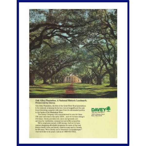 OAK ALLEY PLANTATION / Davey Original 1990 Vintage Advertisement "Oak Alley Plantation. A National Historic Landmark. Preserved by Davey"