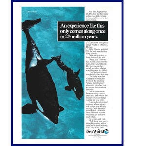 SEA WORLD Orlando, Florida Original 1986 Vintage Print Advertisement "An Experience Like This Only Comes Along Once In 2 1/2 Million Years."