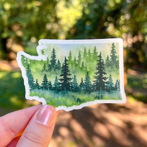 Evergreen State, 3.5"x2.5" WA Die Cut Vinyl Sticker, Waterproof and Dishwasher Safe, Washington State Evergreen Trees