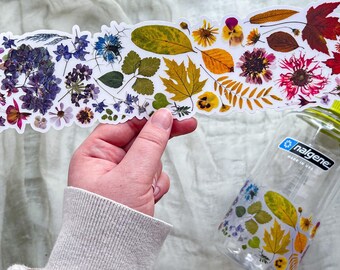Rainbow Pressed Flowers and Botanicals Landscape Wrap Sticker, 2 Sizes Available, Clear Vinyl Die Cut Sticker Waterproof and Dishwasher Safe