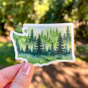Evergreen State, 3.5&quot;x2.5&quot; WA Die Cut Vinyl Sticker, Waterproof and Dishwasher Safe, Washington State Evergreen Trees