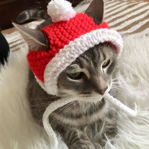 kitty santa hat