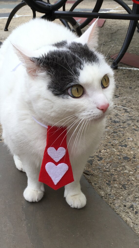 etsy cat tie