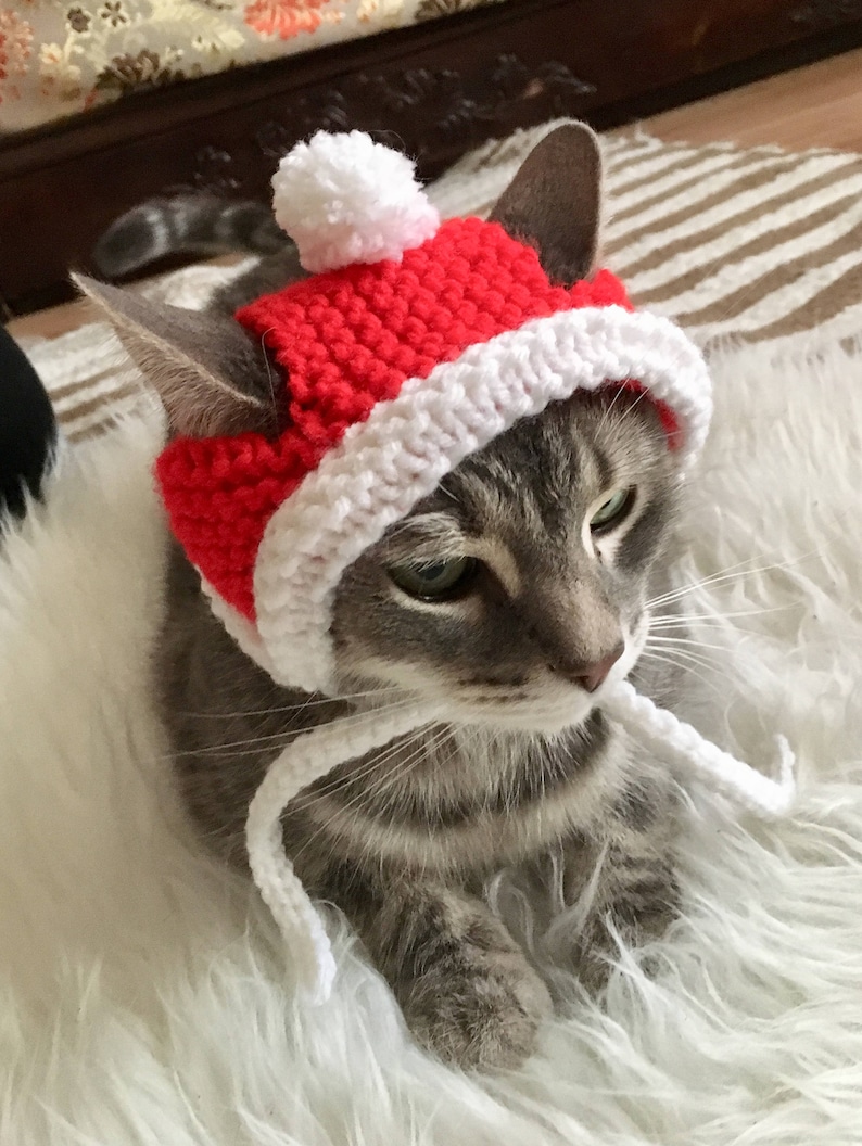 Santa Cat Hat Santa Hat Cat Hat Hat for Cats and Small Etsy