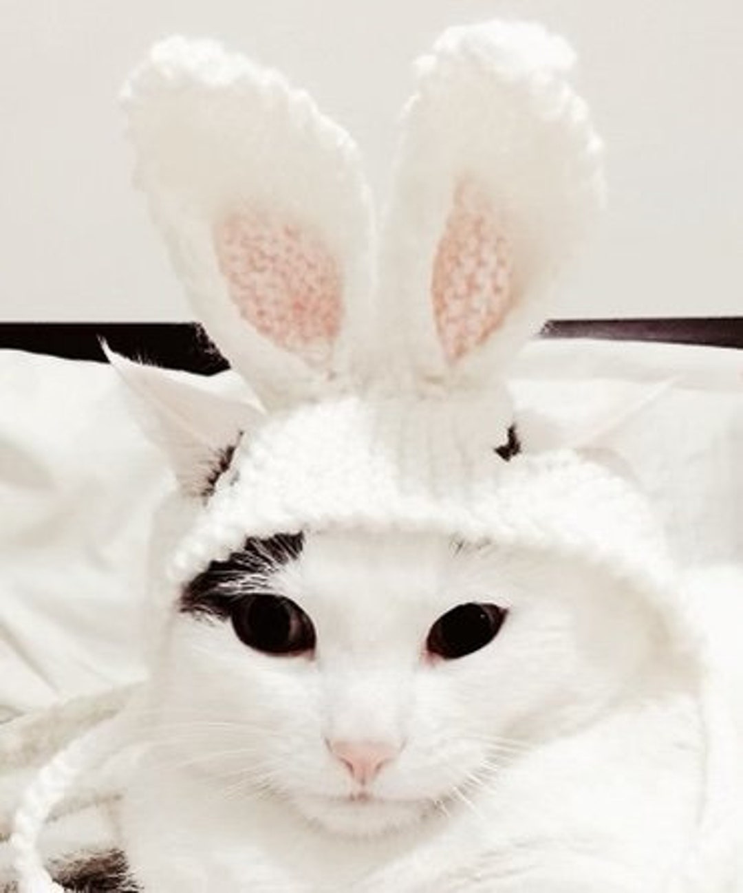 Bunny Cat Hat, Rabbit Ears Cat Hat, Easter Cat Hat, Hat for Cats and ...