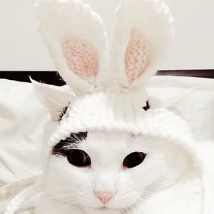 Bunny cat hat, Rabbit ears cat hat, Easter cat hat, hat for cats and small dogs, cat accessories image 1