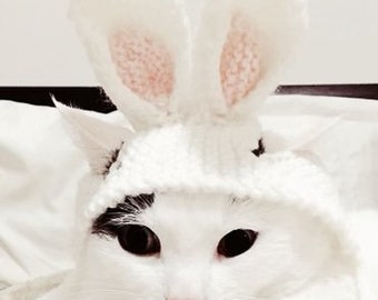 Bunny cat hat, Rabbit ears cat hat, Easter cat hat, hat for cats and small dogs, cat accessories