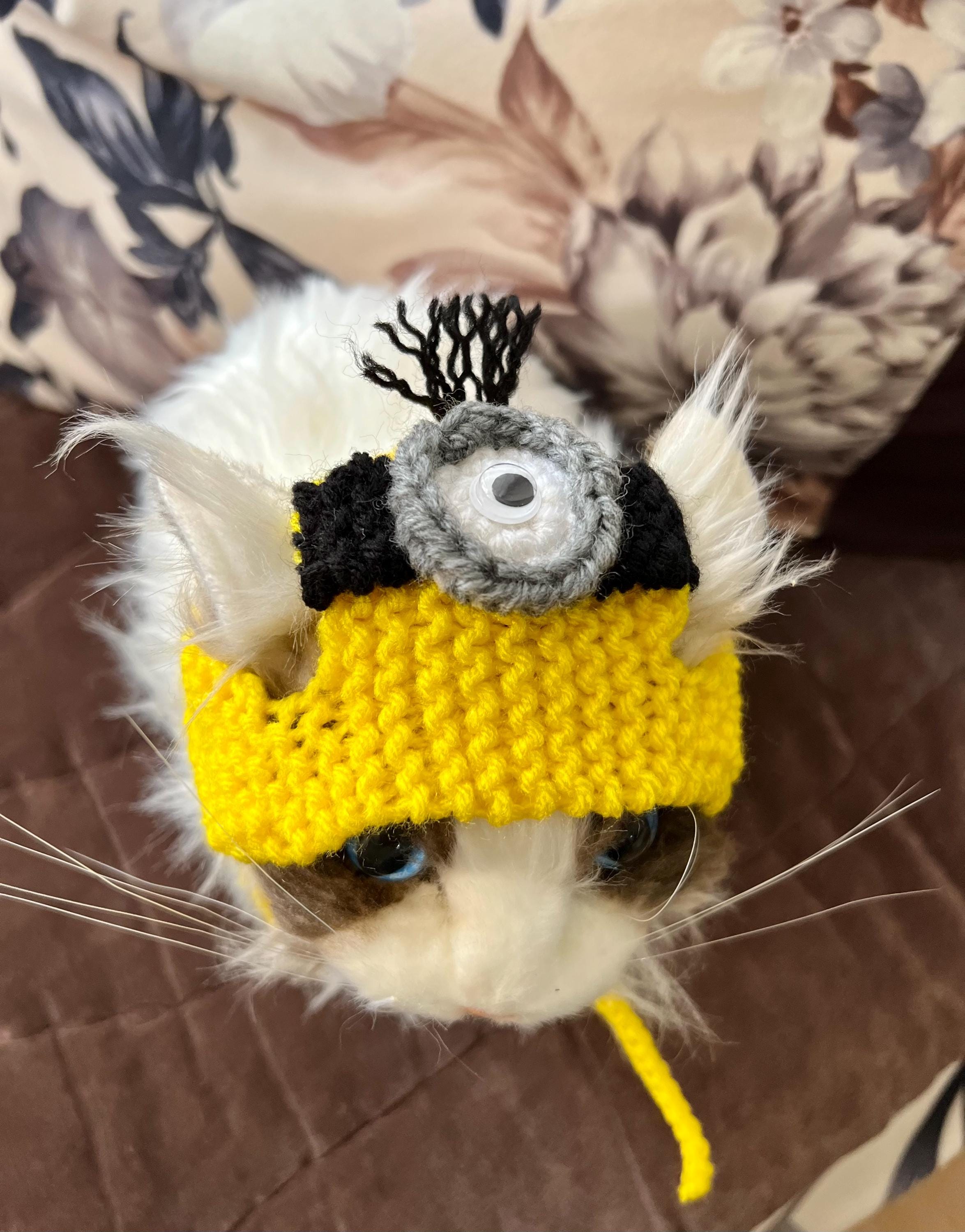 Cat hat, Minion cat hat, hat for cats and small dogs, cat accessories, hat for cats