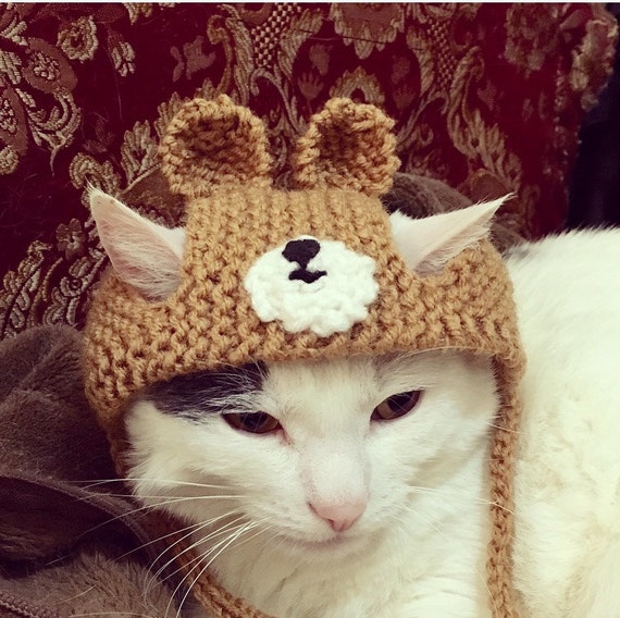 Bear cat hat Bear ears cat hat cat hat hat for cats and Etsy