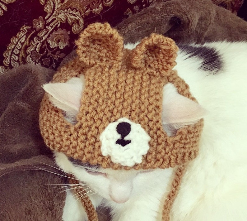 Bear cat hat Bear ears cat hat cat hat hat for cats and Etsy