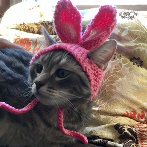 Pink Bunny cat hat, Bunny hat, hat for cats and small dogs, cat accessories, hat for cats