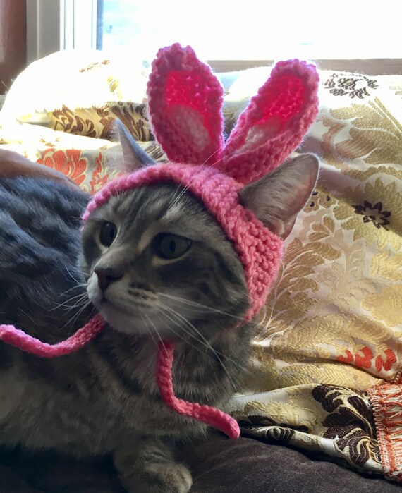 Pink Bunny Cat Hat Bunny Hat Hat for 