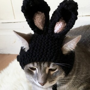 Black Bunny cat hat, Bunny hat, hat for cats and small dogs, cat accessories, hat for cats