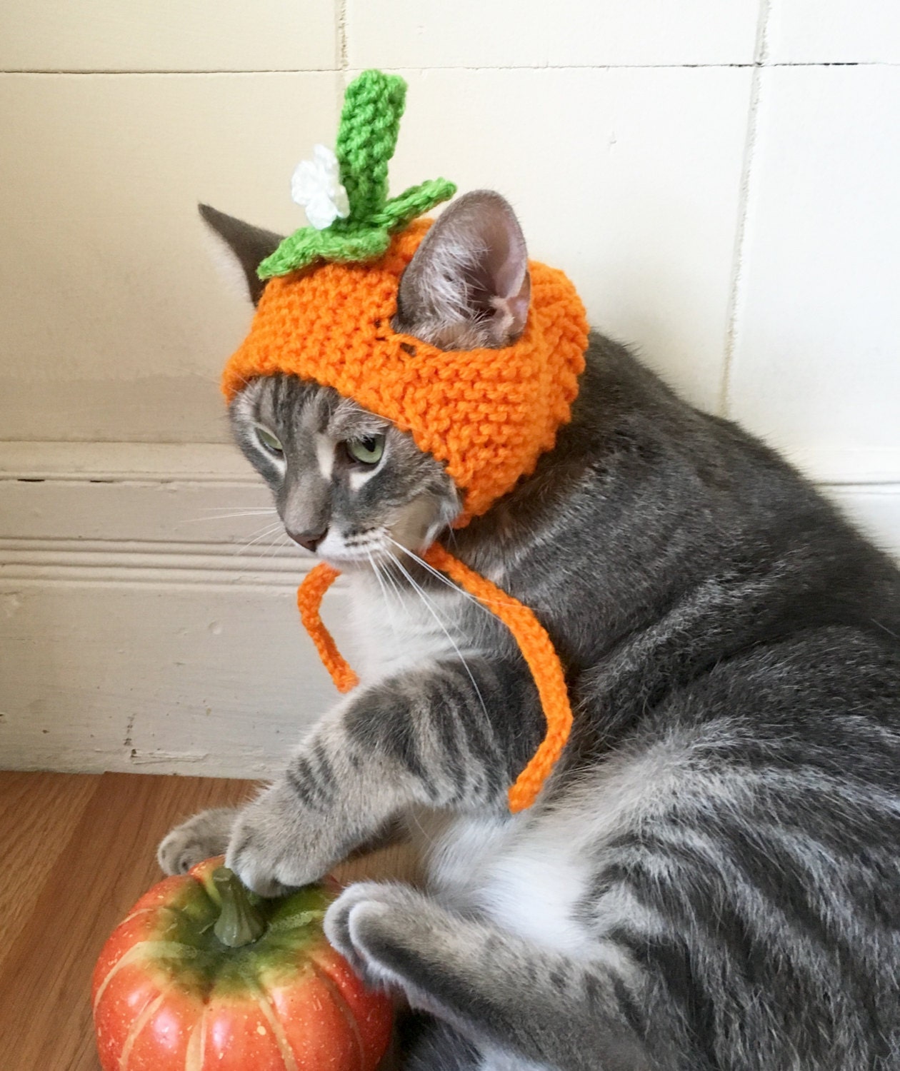 Pumpkin cat hat Pumpkin hat hat for cats and small dogs ...