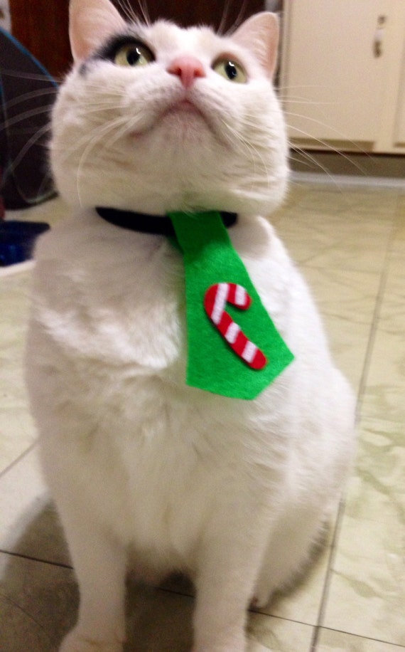 etsy cat tie