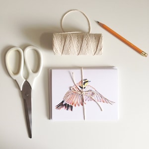 Conjunto de tarjetas de felicitación de arte de acuarela, originales de acuarela, aves, plantas, mezcla y partido