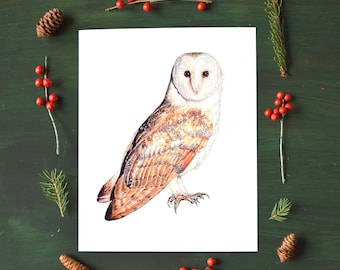 Barn Owl Print, Fine Art Watercolor Print, Archival Giclee, Rare Endangered Species, Realistic Fine Detail