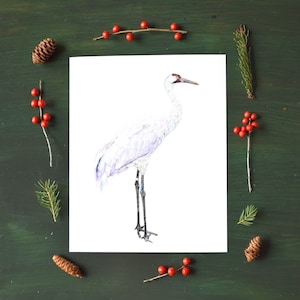 Whooping Crane Fine Art Watercolor Print