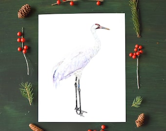 May include: A white whooping crane with a red beak and black legs is illustrated on a white background. The illustration is surrounded by a border of pine sprigs and red berries.