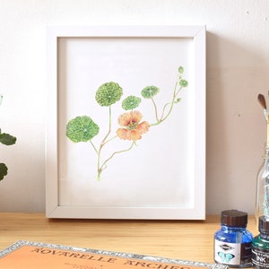Botanical Watercolor Print, Nasturtium, Garden Flower, Illustration, Leaves, Petals