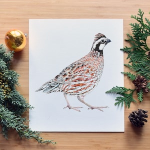 Northern Bobwhite Quail, Fine Art Watercolor Print, Museum Quality Giclee,  Endangered Species, Southern Ontario, Wyoming