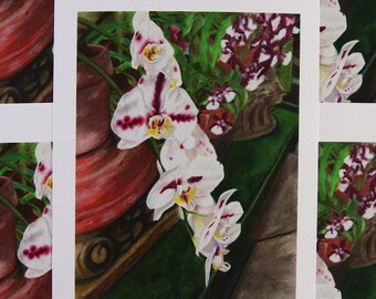 Harlequin Phalaenopsis Watercolor Pencil Illustration Art Print