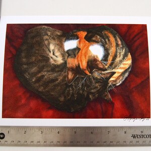 Snugglebums Cozy Cat Watercolor Art Print image 2