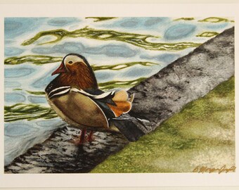 Hot Duck Watercolor Art Print