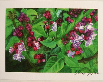 Lilac Buds Watercolor Pencil Art Print