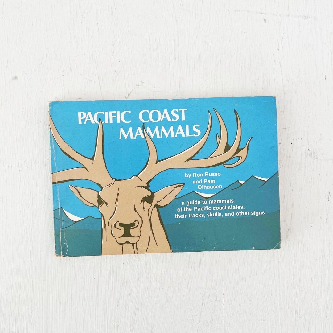 Nature Study Guild Pacific Coast Mammals Guide Ron Russo 1987 Paperback ...
