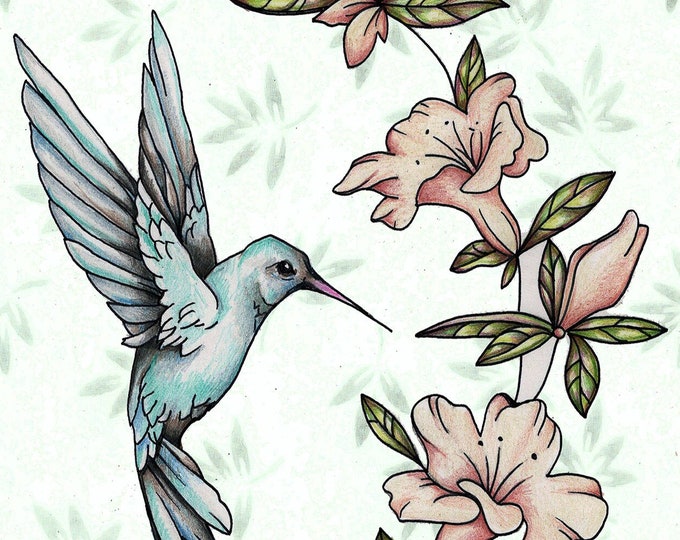 Hummingbird