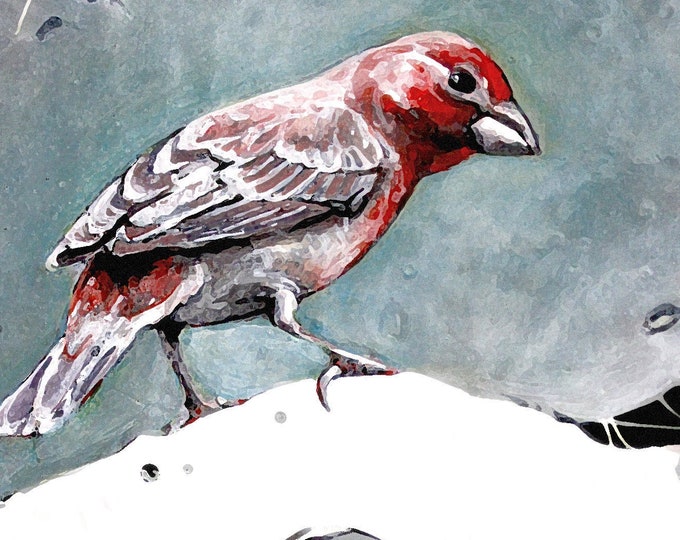 Red Bird Greeting Card