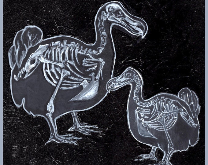 Dodos