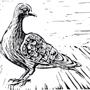 Pigeon Linoleum Block Print