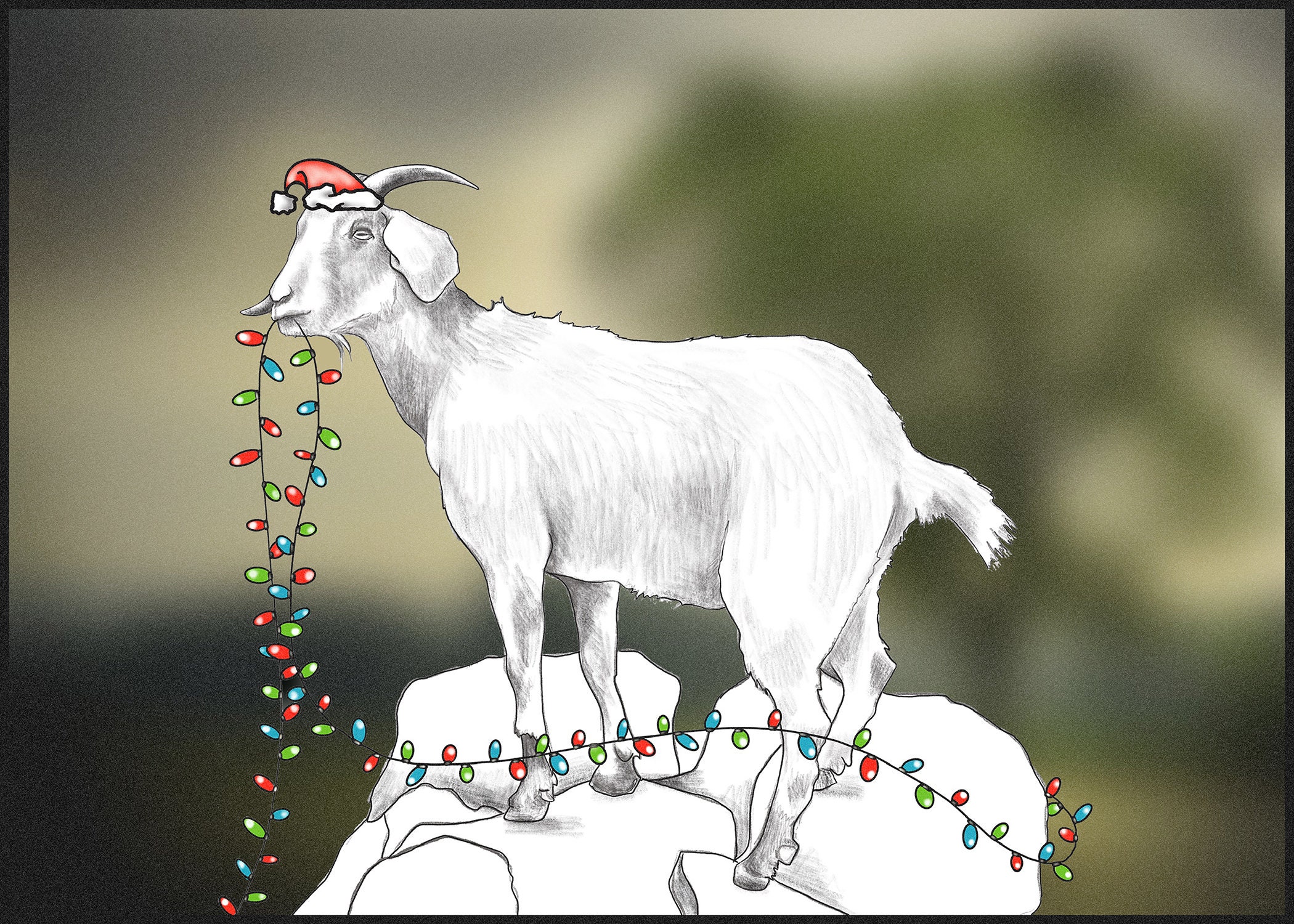 Goat Holiday Card Etsy