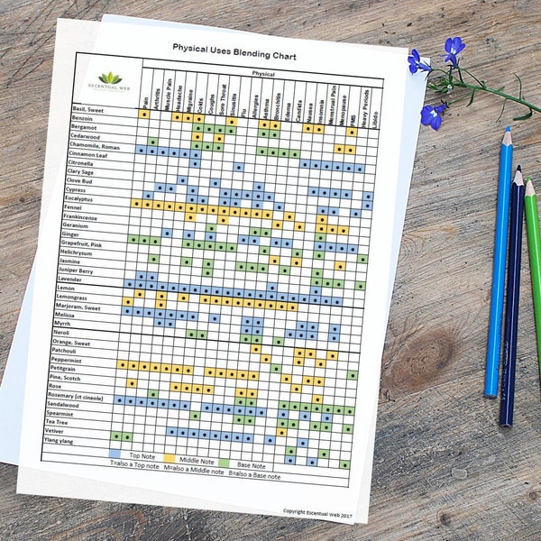 Set of 4 Aromatherapy Cheat Sheet Printables