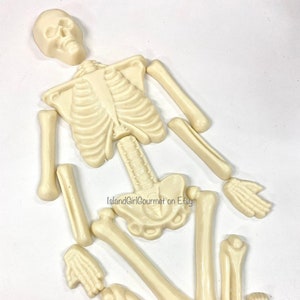 May include: A white chocolate skeleton made of individual pieces, including the skull, rib cage, pelvis, arms, legs, hands, and feet.  The pieces are laid out on a white surface.