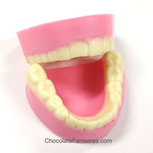 Chocolate Dentures, White Chocolate, Gift Boxed - Gag Gift, Joke Chocolates, Over the Hill Gift, Dentistry