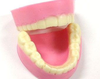 Chocolate Dentures, White Chocolate, Gift Boxed - Gag Gift, Joke Chocolates, Over the Hill Gift, Dentistry