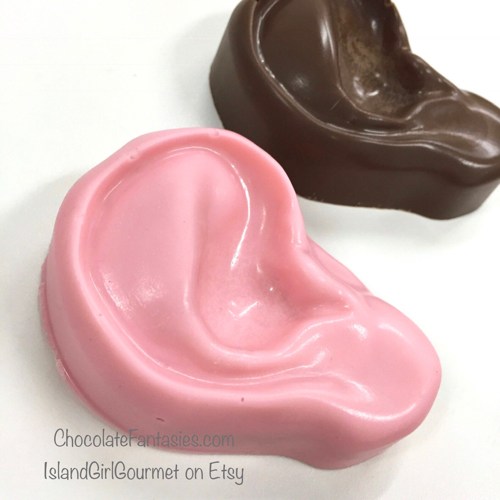 Lifelike Big Chocolate Ear Audiology Hearing Aid Chocolates | Etsy