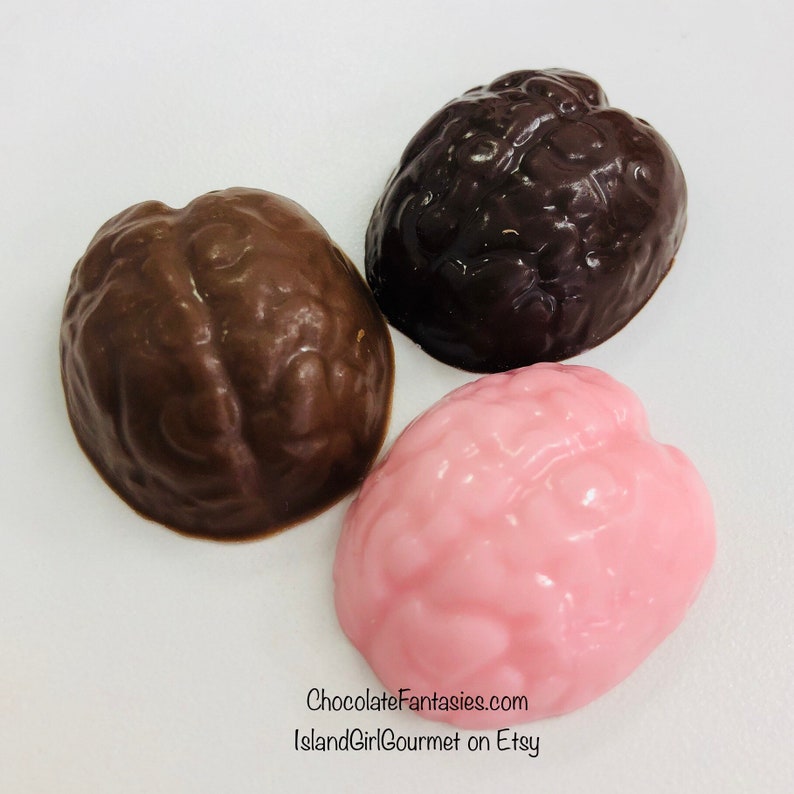 Bitty Brains Favor Box, Neurology Chocolates, Psychology, Psychiatry, Halloween, Zombie, Brainiac image 5