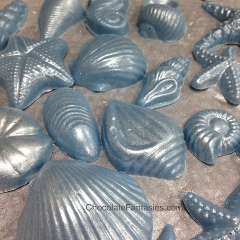 Pearlized Chocolate Seashells 1 lb, approx 43 pcs. Cake Decoration, Luster Finish, Approx Sizes 1 3, Asst. Flavors image 4