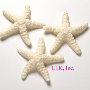 12 Chocolate Starfish, Bulk Packed for Cakes for Wedding Favors, Party Favors, Beach Theme Weddings