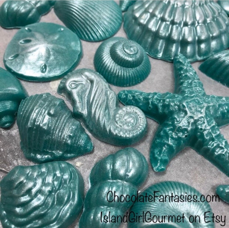 Pearlized Chocolate Seashells 1 lb, approx 43 pcs. Cake Decoration, Luster Finish, Approx Sizes 1 3, Asst. Flavors image 8